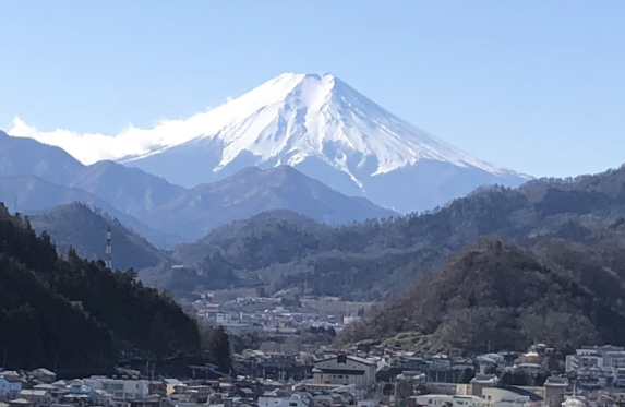 つる