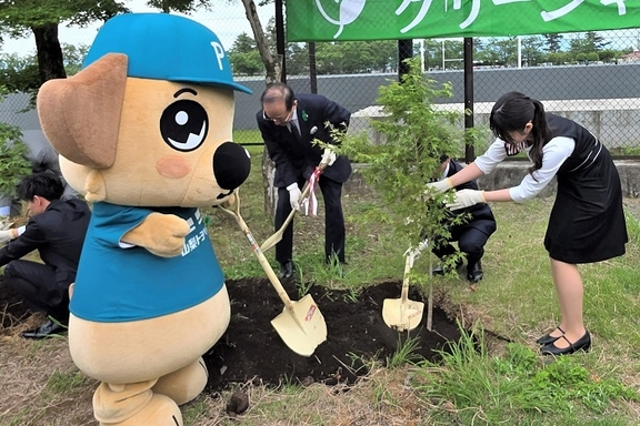 GCP